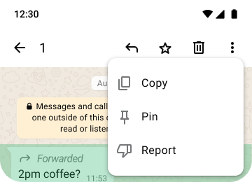 example of copy pin and report features on whatsapp to protect your privacy and security